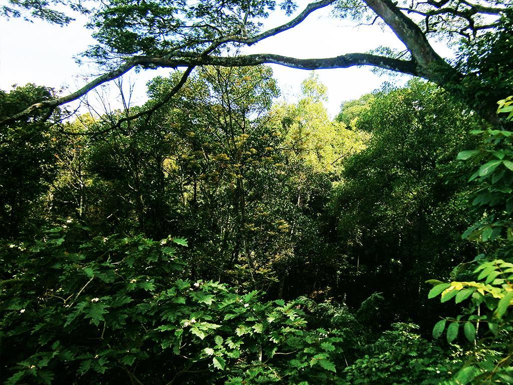 Surrey Bird Sanctuary & Holiday Resort Welimada Exterior foto